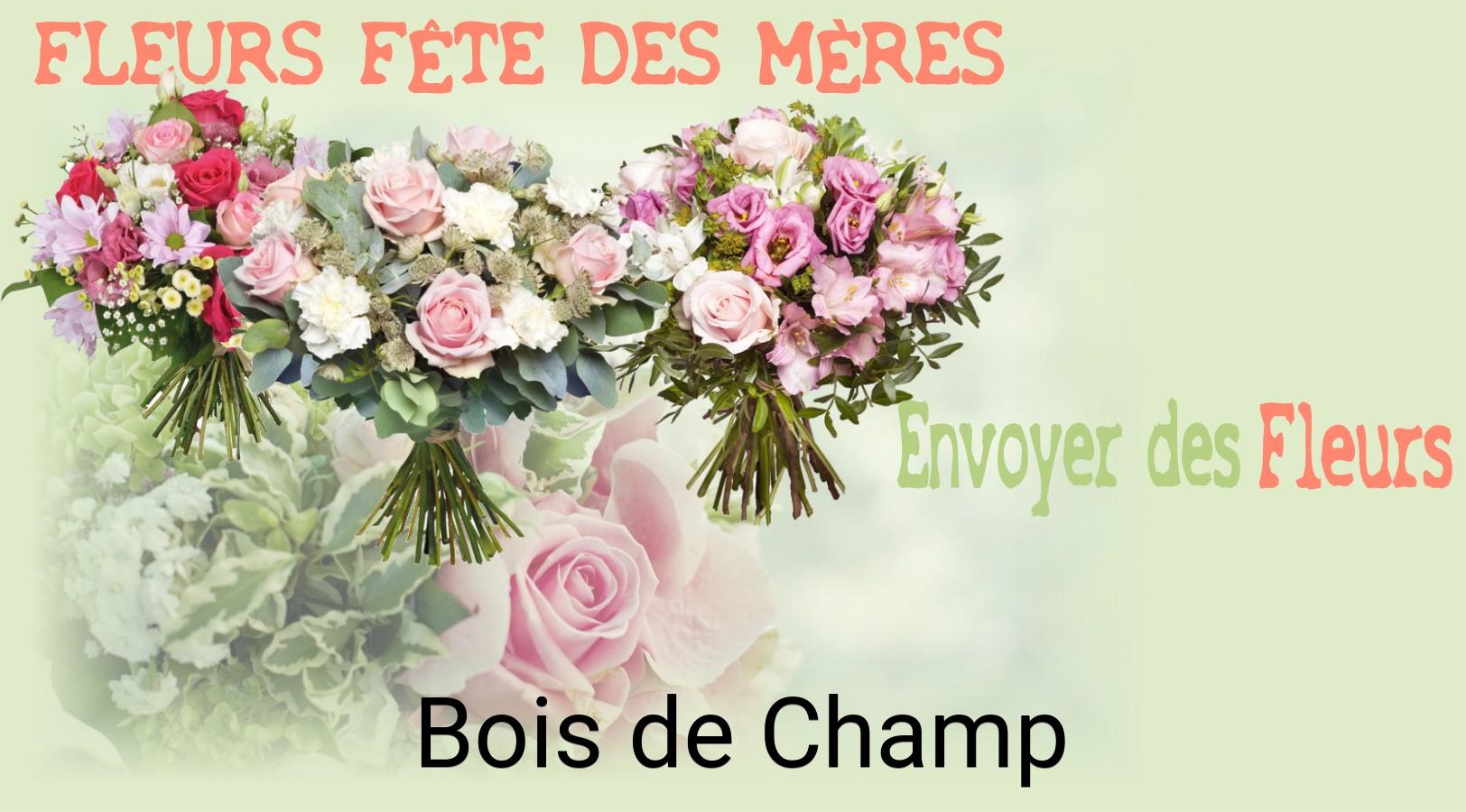 Bouquet de Fête des Mères livré à Bois-de-Champ